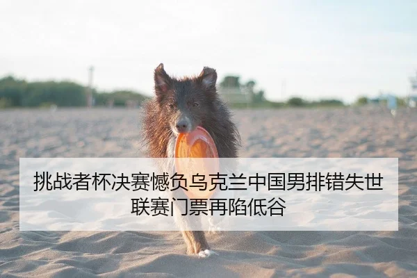 挑战者杯决赛憾负乌克兰中国男排错失世联赛门票再陷低谷
